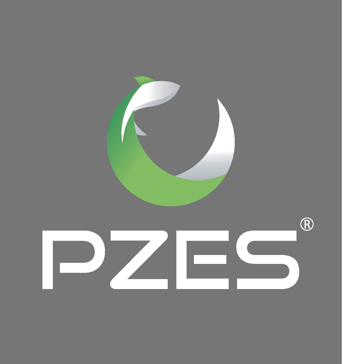 Pez Barbo Odessa Caracteristicas Peces Exoticos 2020