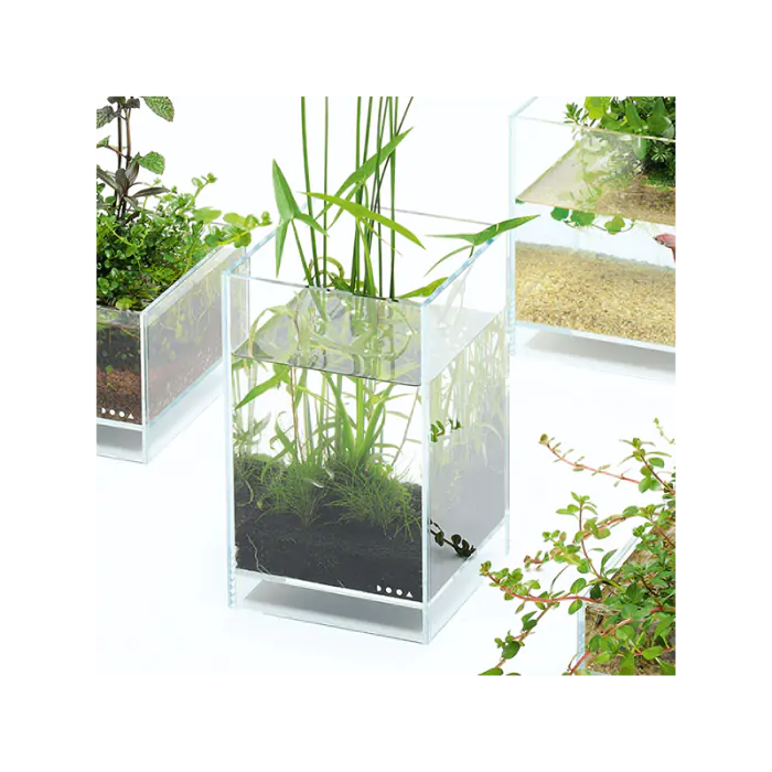 DOOA Neo Glass Air 15x15x25