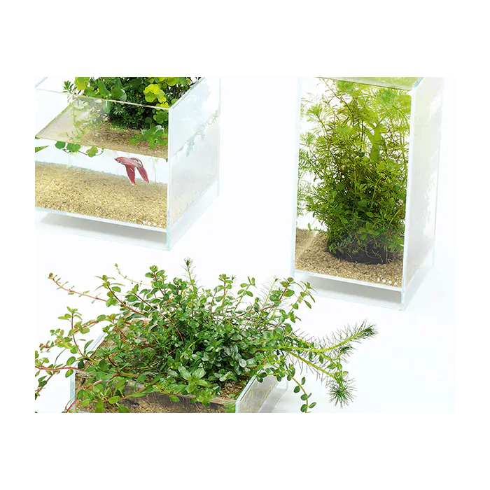 DOOA Neo Glass Air 20x20x35