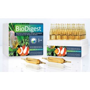 Prodibio BioDigest Cultivo de bacteria ciclado caja de 30 ampollas.