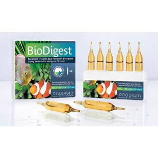 6 unidades  Prodibio BioDigest Cultivo de bacteria ciclado comprar