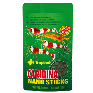 comprar Caridina Nano Stick