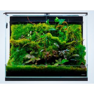 Dooa System Paluda 60