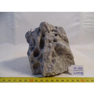comprar hardscape acuarios: Roca lunar mediana, con agujeros e irregular