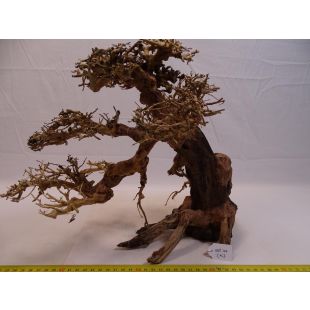 decoración acuarios con bonsáis grandes. mejor tienda online acuariofilia