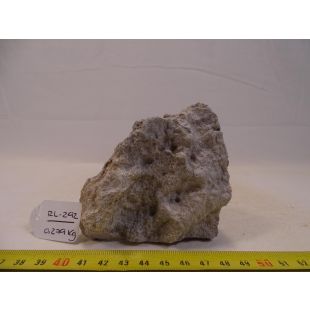 Comprar roca Lunar online tamaño pequeño con agujeros pequeños decorar acuarios