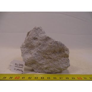 Comprar roca Lunar online tamaño pequeño con agujeros pequeños decorar acuarios