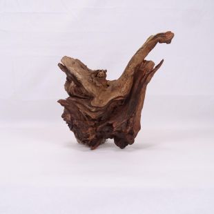 comprar online madera cuerno mediana para acuario