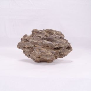 Comprar roca Dragón pequeña-mediana con agujeros para decoración natural acuarios en tienda de peces especializada, Pzes Alcorcón.
