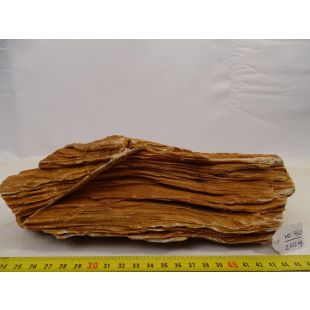 hardscape madera fosilizada para acuarios tienda online acuariofilia