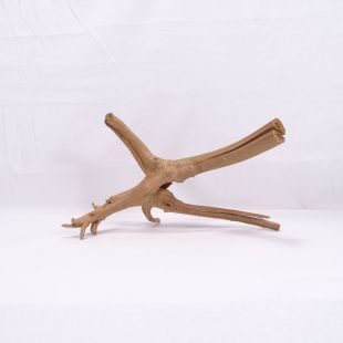 Comprar online raíz Slim tamaño pequeño con varias ramificaciones para acuarios en tienda de peces y acuarios, Pzes Alcorcón.