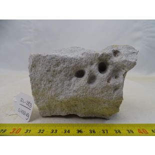comprar hardscape acuarios: Roca lunar mediana, con agujeros e irregular