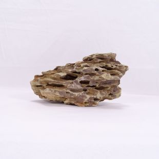 Comprar roca Dragón mediana con agujeros para decoración natural acuarios en tienda de peces especializada, Pzes Alcorcón.