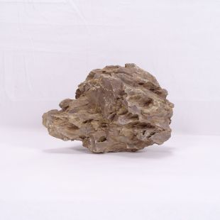 Comprar roca Dragón pequeña-mediana con agujeros para decoración natural acuarios en tienda de peces especializada, Pzes Alcorcón.