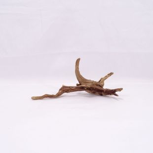 Comprar online raíz Slim pequeña con varias ramitas para acuarios en tienda Pzes.