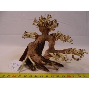 comprar online bonsai pequeño para acuario, paisajismo acuarios