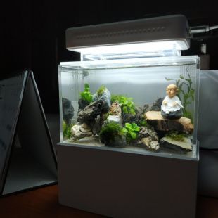 acuario Mini Complete Tank