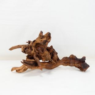 Comprar online madera cuerno mediana para acuario en tienda online tienda.pzes.es