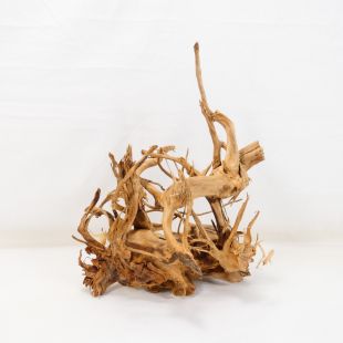 Comprar online raíz Roja tamaño mediano con varias ramificaciones para acuario en tienda Pzes Alcorcón, tienda.pzes.es