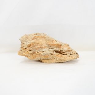 Roca dragón pequeña-mediana con agujeros decoración natural acuarios en tienda.pzes.es