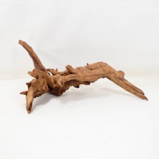 Comprar online madera cuerno mediana para acuario en tienda online tienda.pzes.es