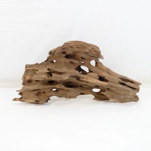Comprar online madera dragón pequeña, bonita, decorativa y alargada con agujeros en tienda online de peces y acuarios especializada: Pzes Alcorcón.
