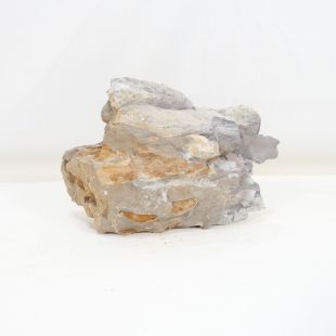 Roca dragón pequeña-mediana con agujeros decoración natural acuarios en tienda.pzes.es