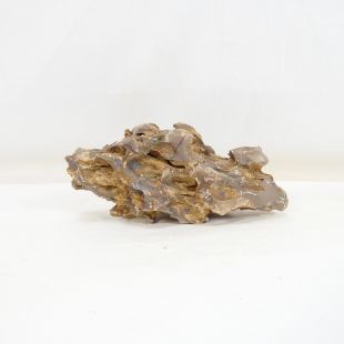 Roca dragón mediana con agujeros decoración natural acuarios en tienda Pzes Alcorcón.