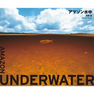 Amazon Underwater (japones)