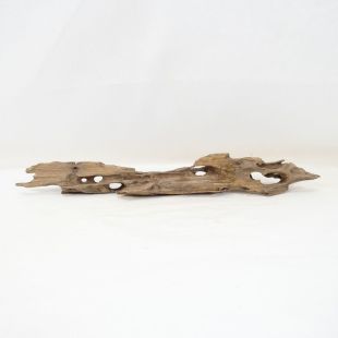 Comprar online madera dragón pequeña, bonita, decorativa y alargada con agujeros en tienda online de peces y acuarios especializada: Pzes Alcorcón.