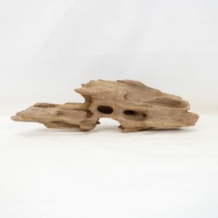 Comprar online madera dragón pequeña, bonita, decorativa y alargada con agujeros en tienda online de peces y acuarios especializada: Pzes Alcorcón.