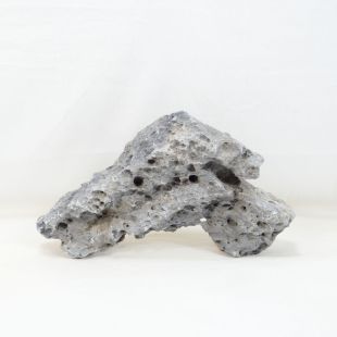 Roca Amano (Seiryu/Ryouh) para decorar acuarios en tienda online pzes Alcorcón: el mejor hardscape con envíos seguros y animales sanos.