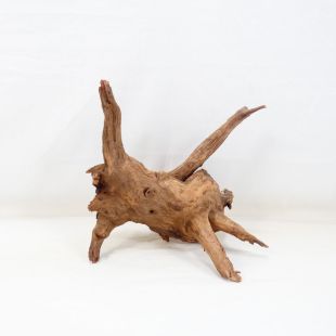 Comprar online madera cuerno mediana y alargada para acuario en tienda online Pzes Alcorcón