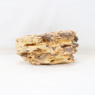 Roca dragón pequeña-mediana con agujeros decoración natural acuarios en tienda.pzes.es