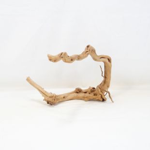 Comprar online raíz Roja tamaño mediano con varias ramificaciones para acuario en tienda Pzes Alcorcón, tienda.pzes.es