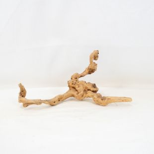 Comprar online raíz Roja tamaño mediano con varias ramificaciones para acuario en tienda Pzes Alcorcón, tienda.pzes.es