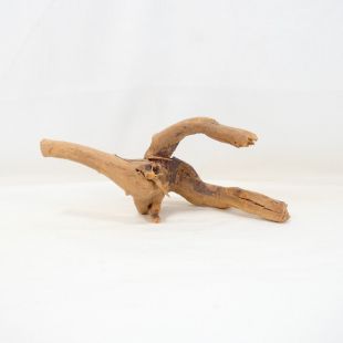 Comprar online raíz Roja tamaño mediano con varias ramificaciones para acuario en tienda Pzes Alcorcón, tienda.pzes.es