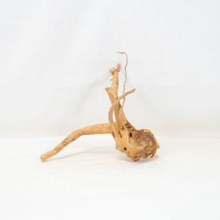 Comprar online raíz Roja tamaño mediano con varias ramificaciones para acuario en tienda Pzes Alcorcón, tienda.pzes.es