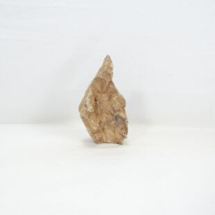 Roca dragón pequeña-mediana con agujeros decoración natural acuarios en tienda Pzes Alcorcón.