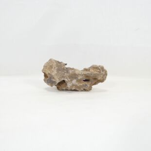 Roca dragón pequeña-mediana con agujeros decoración natural acuarios en tienda Pzes Alcorcón.