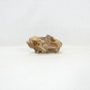 Roca dragón pequeña-mediana con agujeros decoración natural acuarios en tienda Pzes Alcorcón.