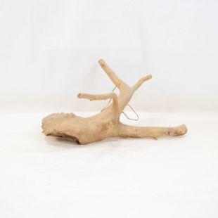 Comprar online raíz Roja tamaño mediano con varias ramificaciones para acuario en tienda Pzes Alcorcón, tienda.pzes.es