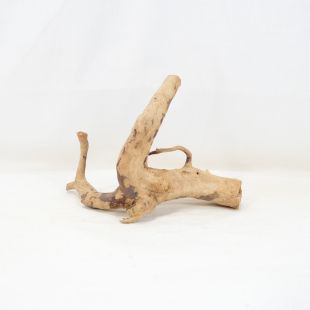 Comprar online raíz Roja tamaño mediano con varias ramificaciones para acuario en tienda Pzes Alcorcón, tienda.pzes.es