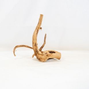 Comprar online raíz Roja tamaño pequeño con varias ramificaciones para acuario en tienda Pzes Alcorcón, tienda.pzes.es