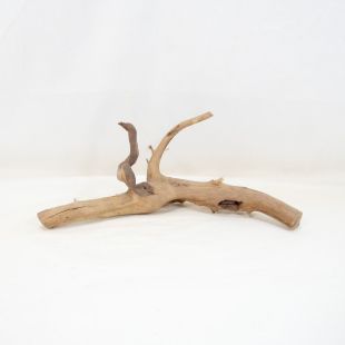 Comprar online raíz Roja tamaño pequeño con varias ramificaciones para acuario en tienda Pzes Alcorcón, tienda.pzes.es