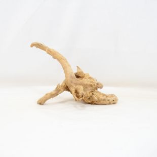 Comprar online raíz Roja tamaño pequeño con varias ramificaciones para acuario en tienda Pzes Alcorcón, tienda.pzes.es