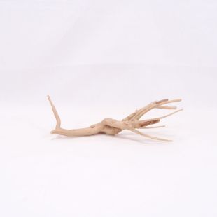 Comprar online raíz Slim pequeña con varias ramitas para acuarios en tienda Pzes Alcorcón.