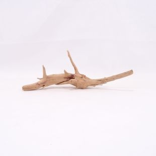 Comprar online raíz Slim pequeña con varias ramitas para acuarios en tienda Pzes Alcorcón.