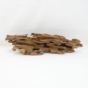 Comprar online madera dragón pequeña, bonita, decorativa y alargada con agujeros en tienda online de peces y acuarios especializada: Pzes Alcorcón.