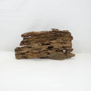 Comprar online madera dragón pequeña y alargada con agujeros en tienda online de peces y acuarios especializada: Pzes Alcorcón.